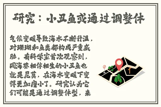 欧美人玩ps4和xbox的比例